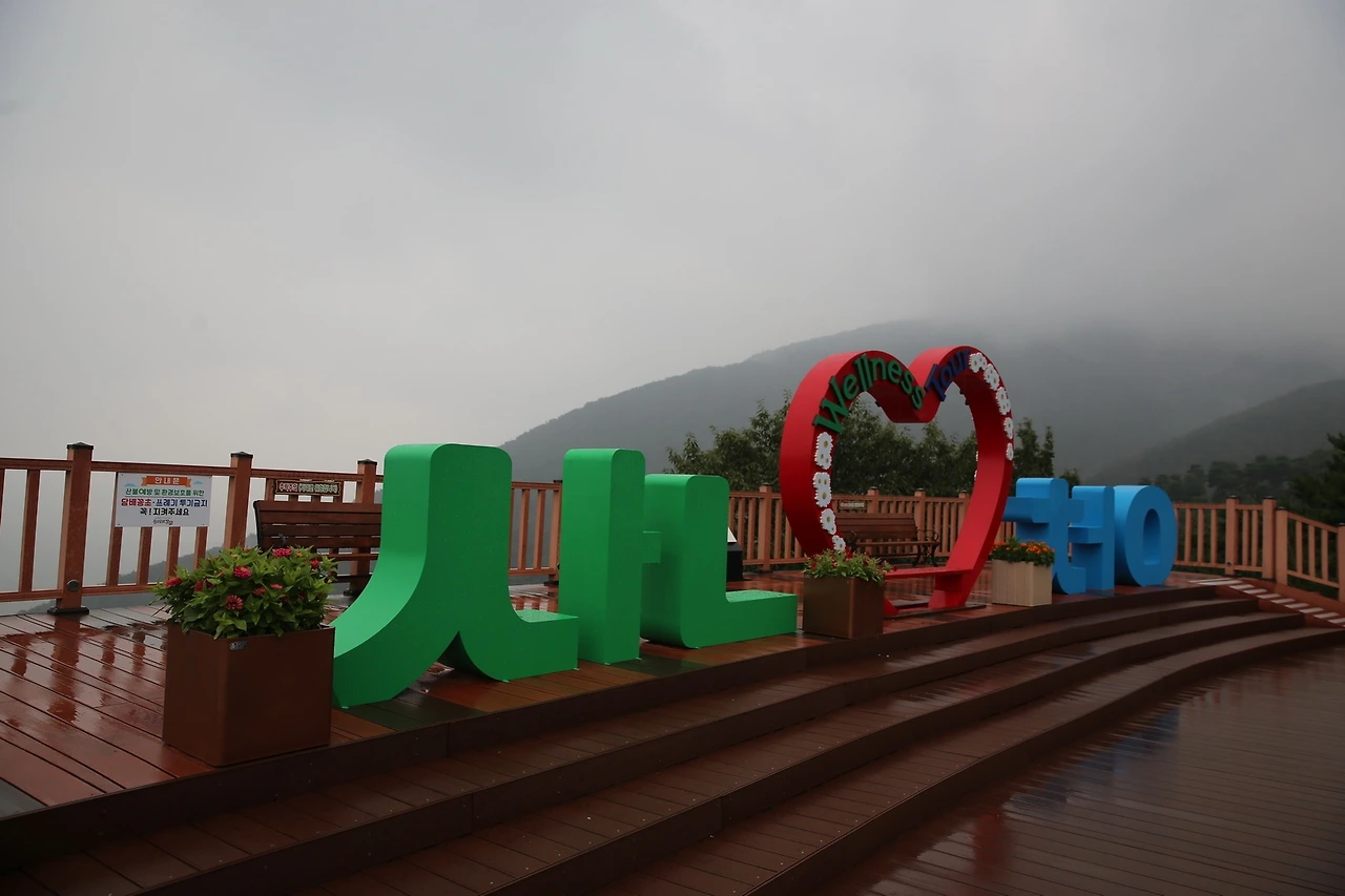 MG0A3073_новый размер.JPG