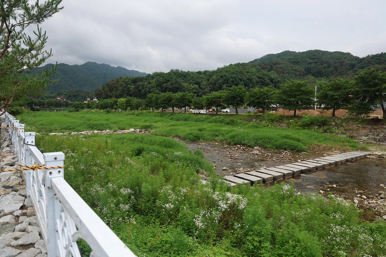 0R5A7553_новый размер.JPG