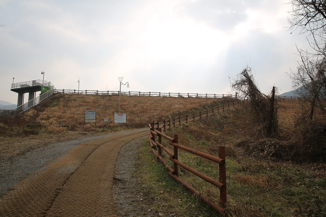 MG0A6690_новый размер.JPG