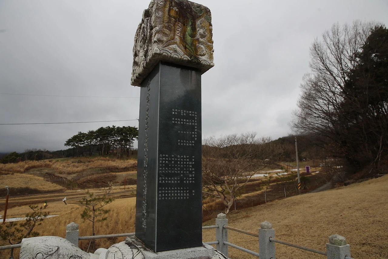 MG0A0414_новый размер.JPG