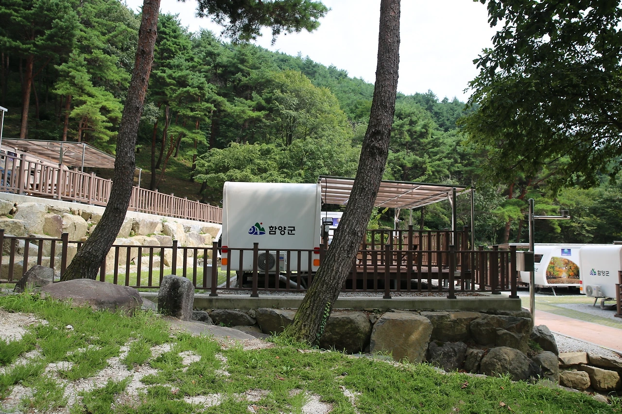 MG0A7451_новый размер.JPG