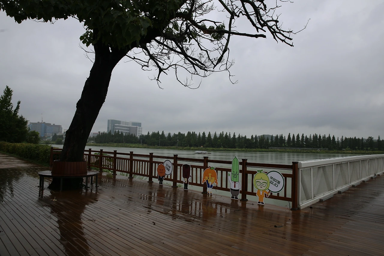 MG0A2543_новый размер.JPG