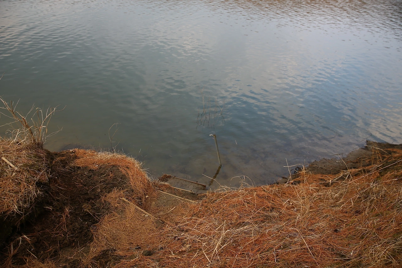 MG0A9796_новый размер.JPG