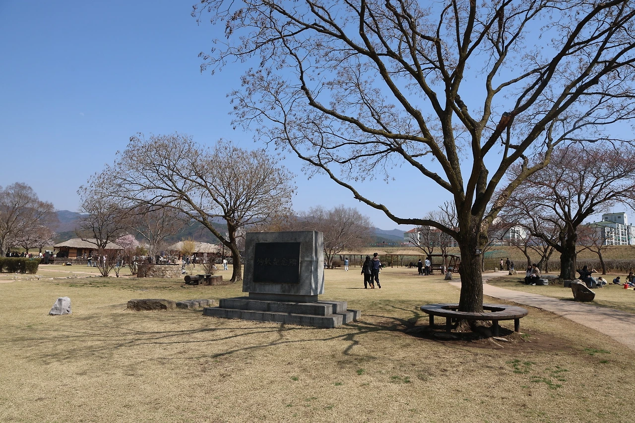 0R5A5981_новый размер.JPG