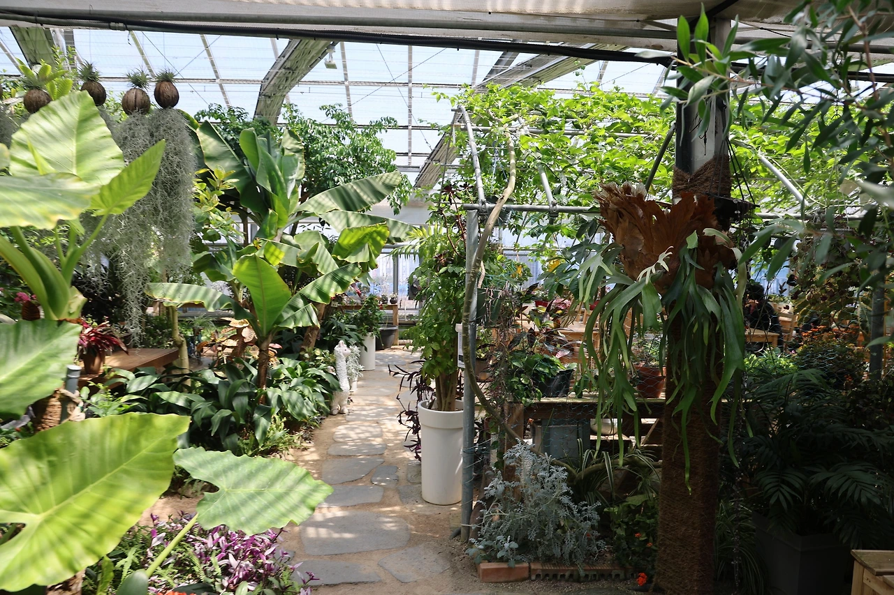 0R5A5892_новый размер.JPG