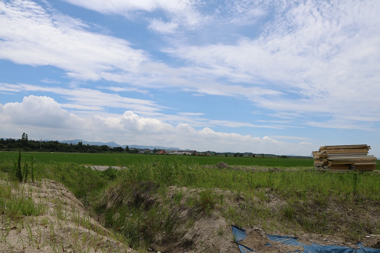 0R5A7236_новый размер.JPG