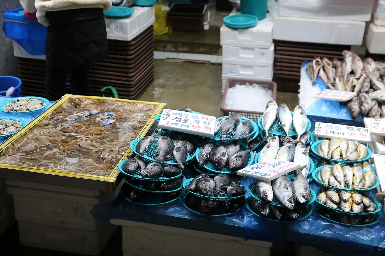 MG0A4484_новый размер.JPG