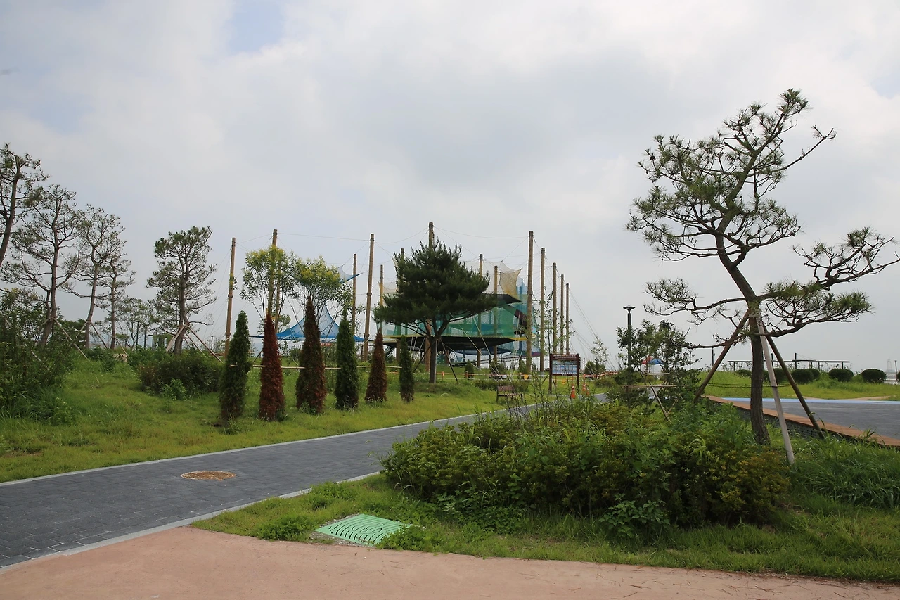 MG0A3910_новый размер.JPG