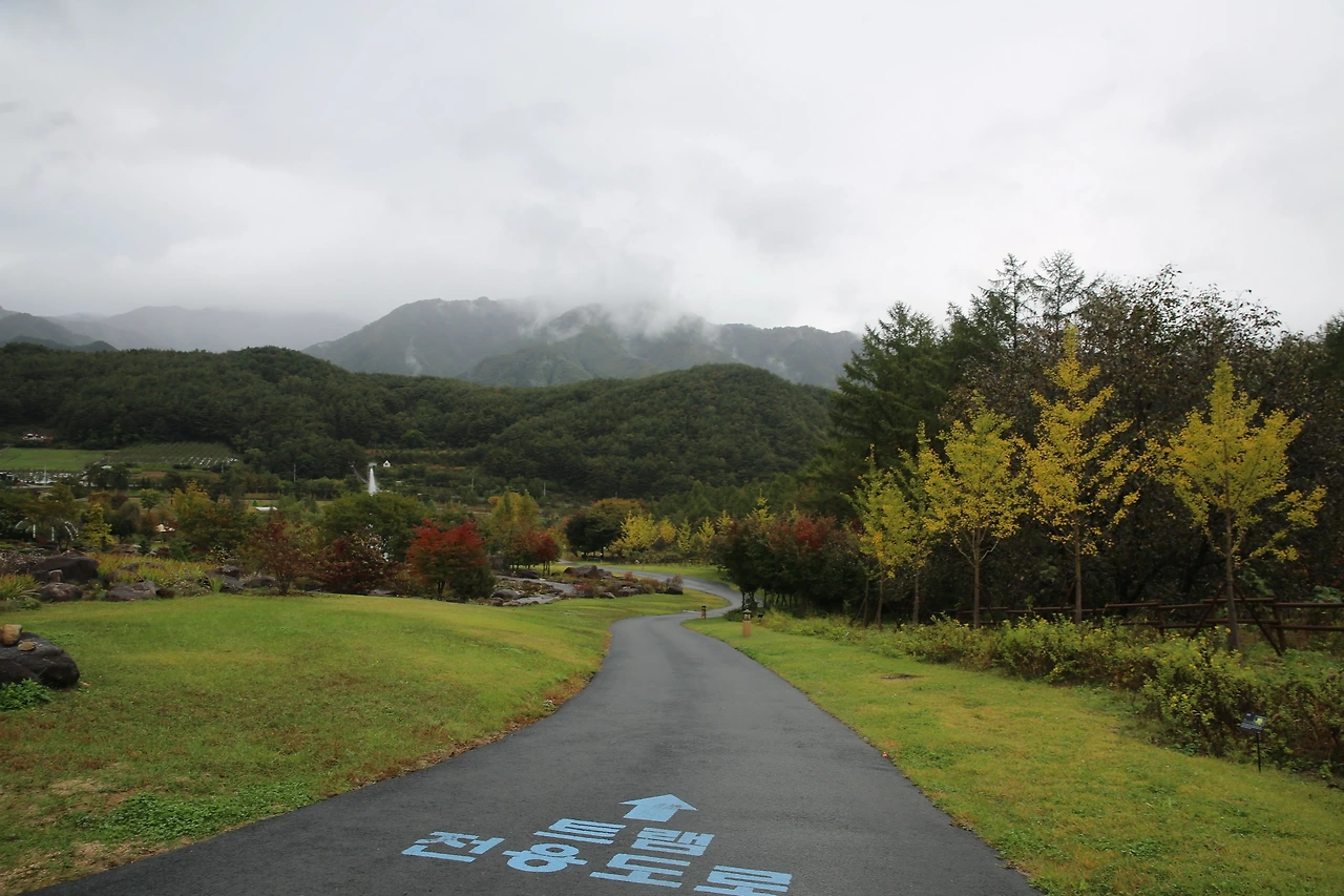 MG0A6208_новый размер.JPG