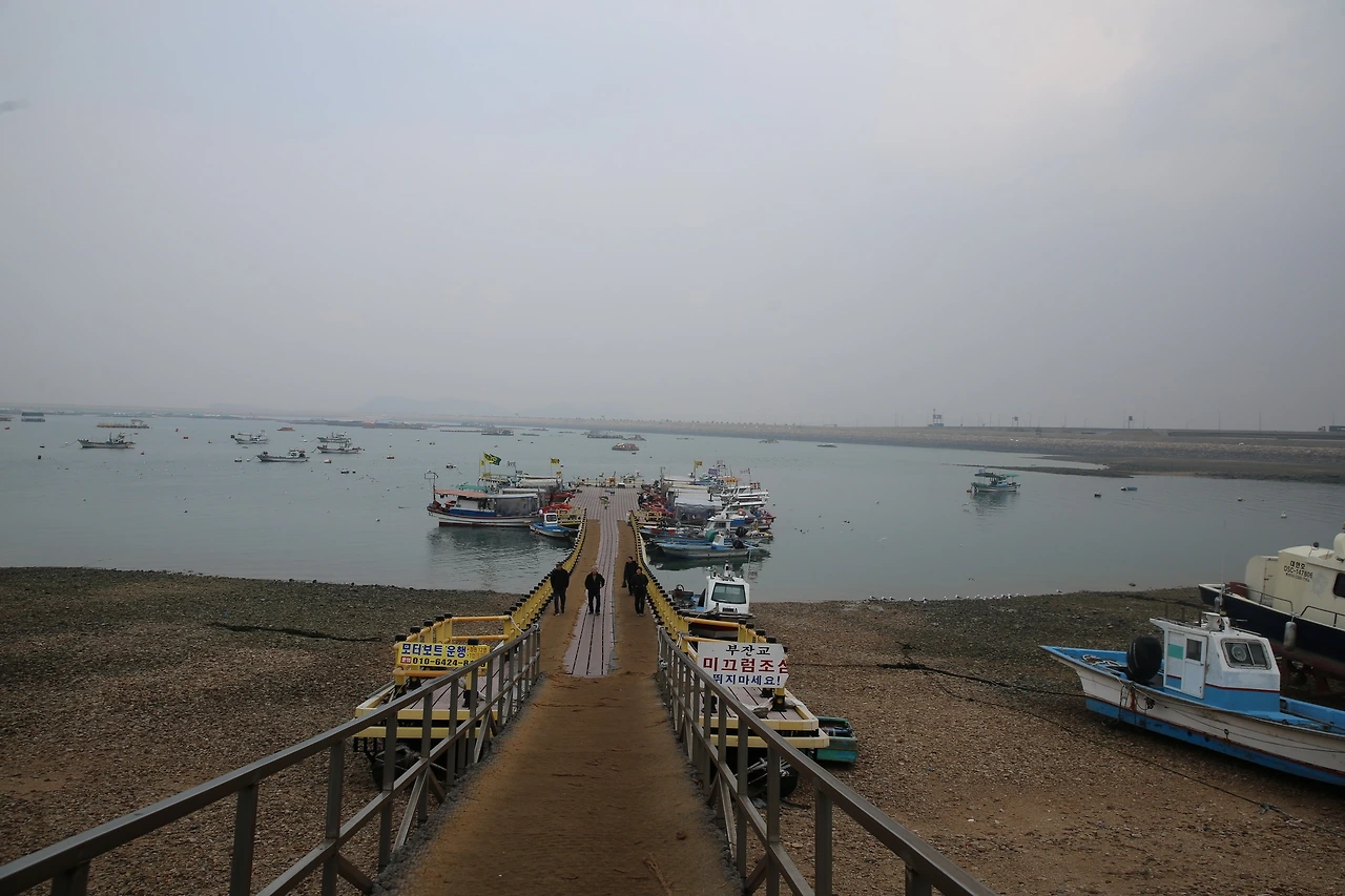 MG0A6844_новый размер.JPG