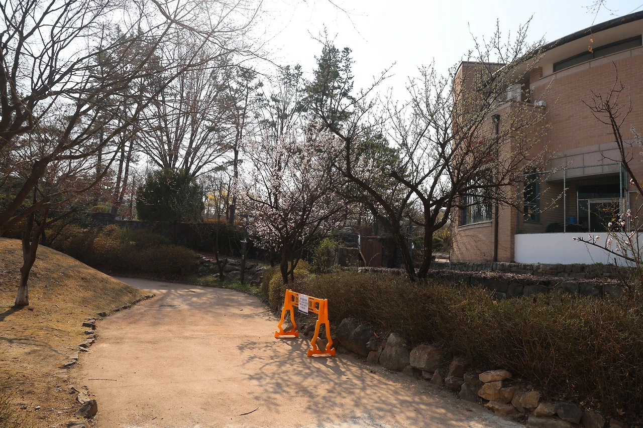 0R5A5490_новый размер.JPG