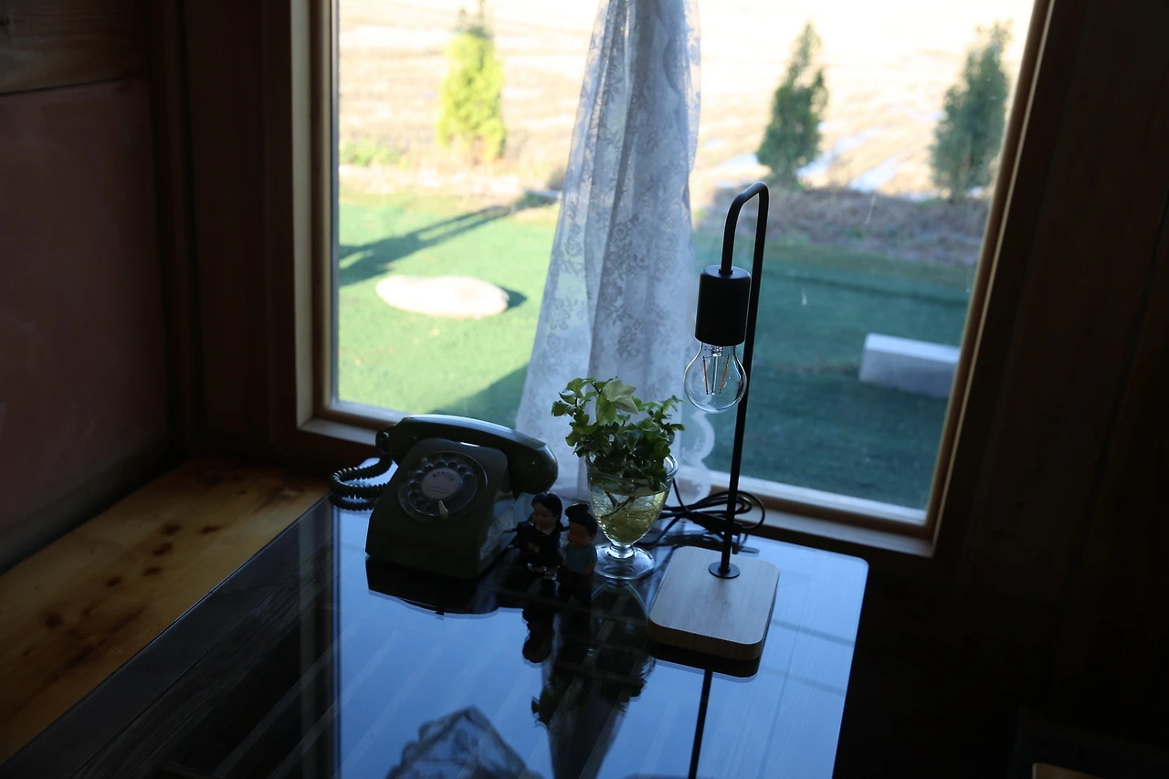 MG0A1446_новый размер.JPG