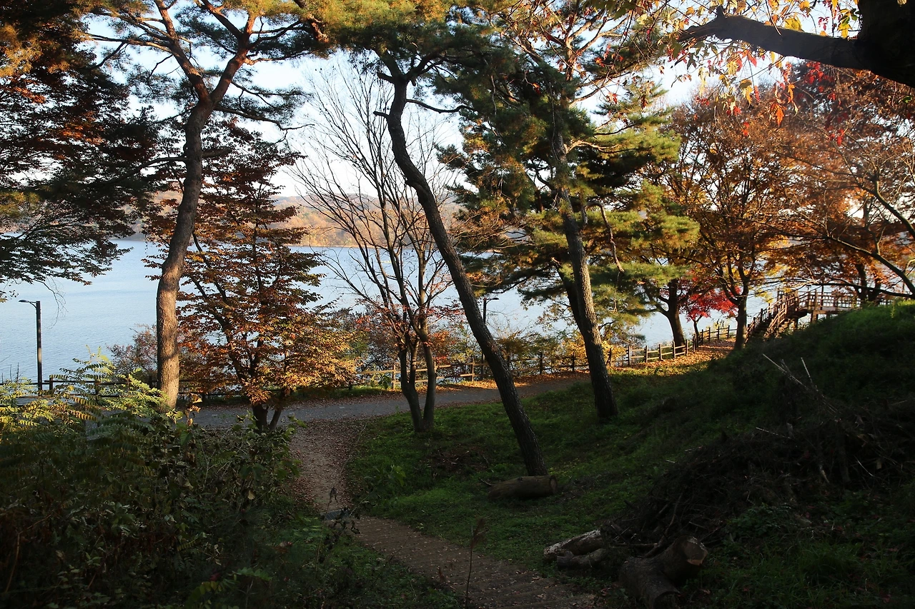 MG0A1375_новый размер.JPG