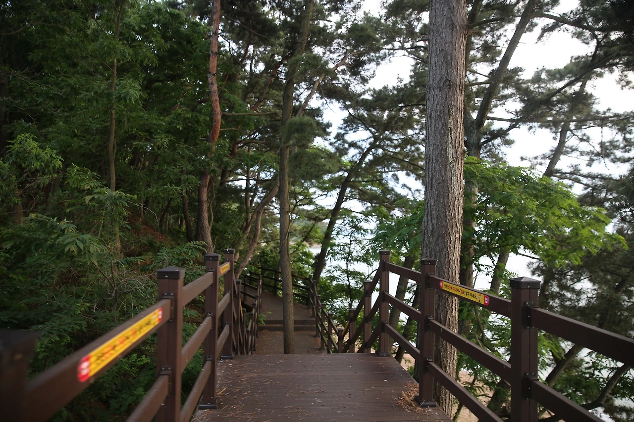 MG0A2034_новый размер.JPG