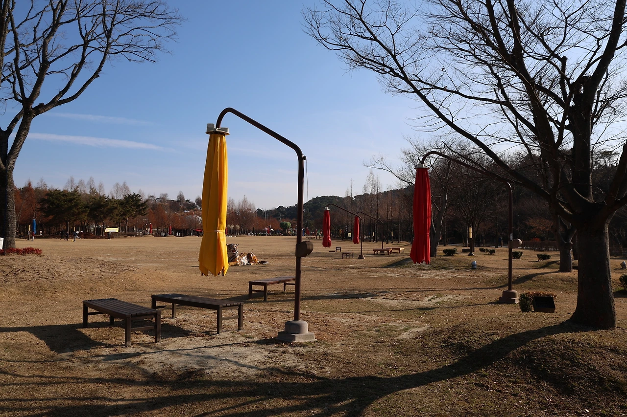 0R5A7422_новый размер.JPG