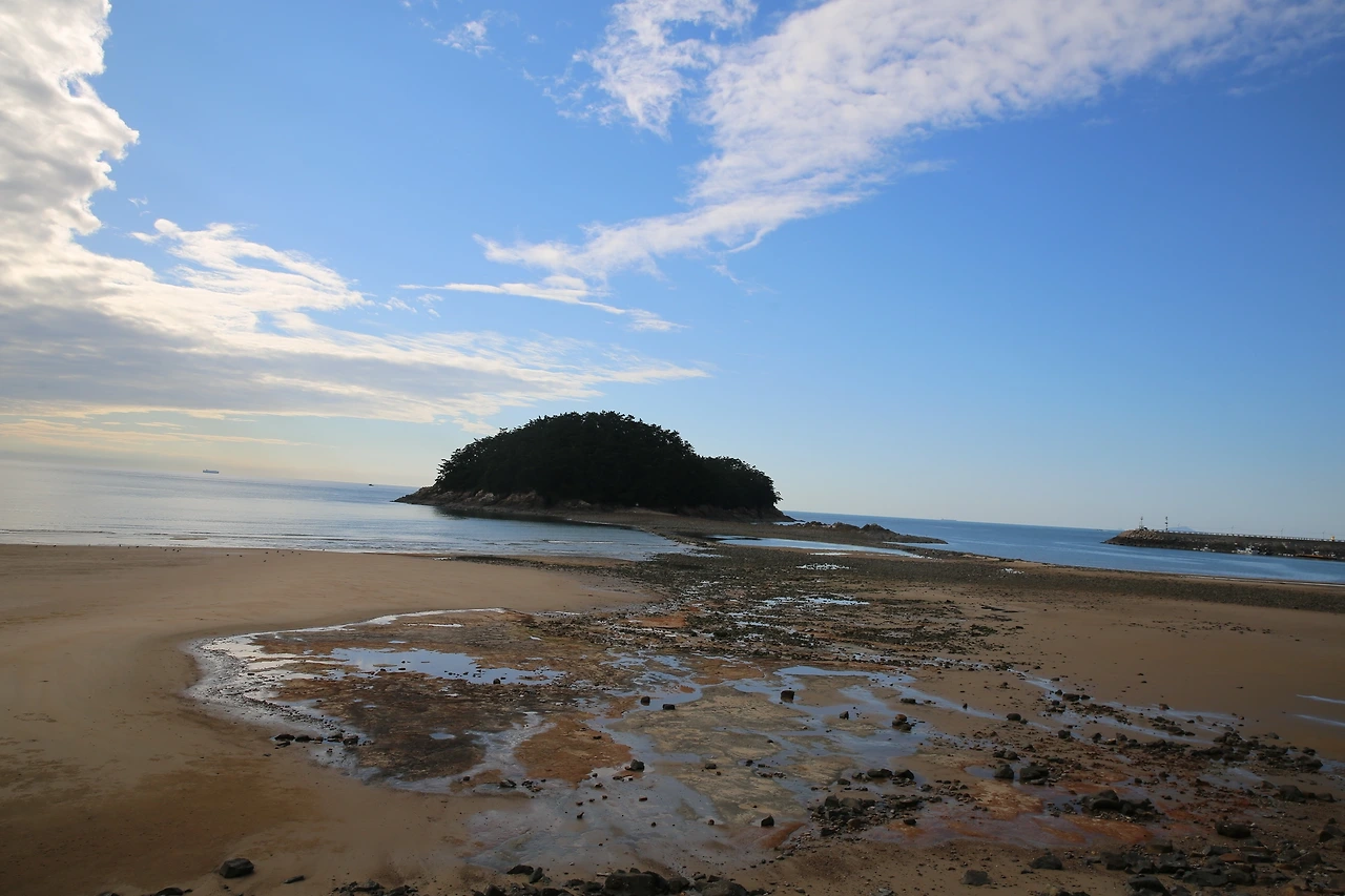 MG0A1442_новый размер.JPG