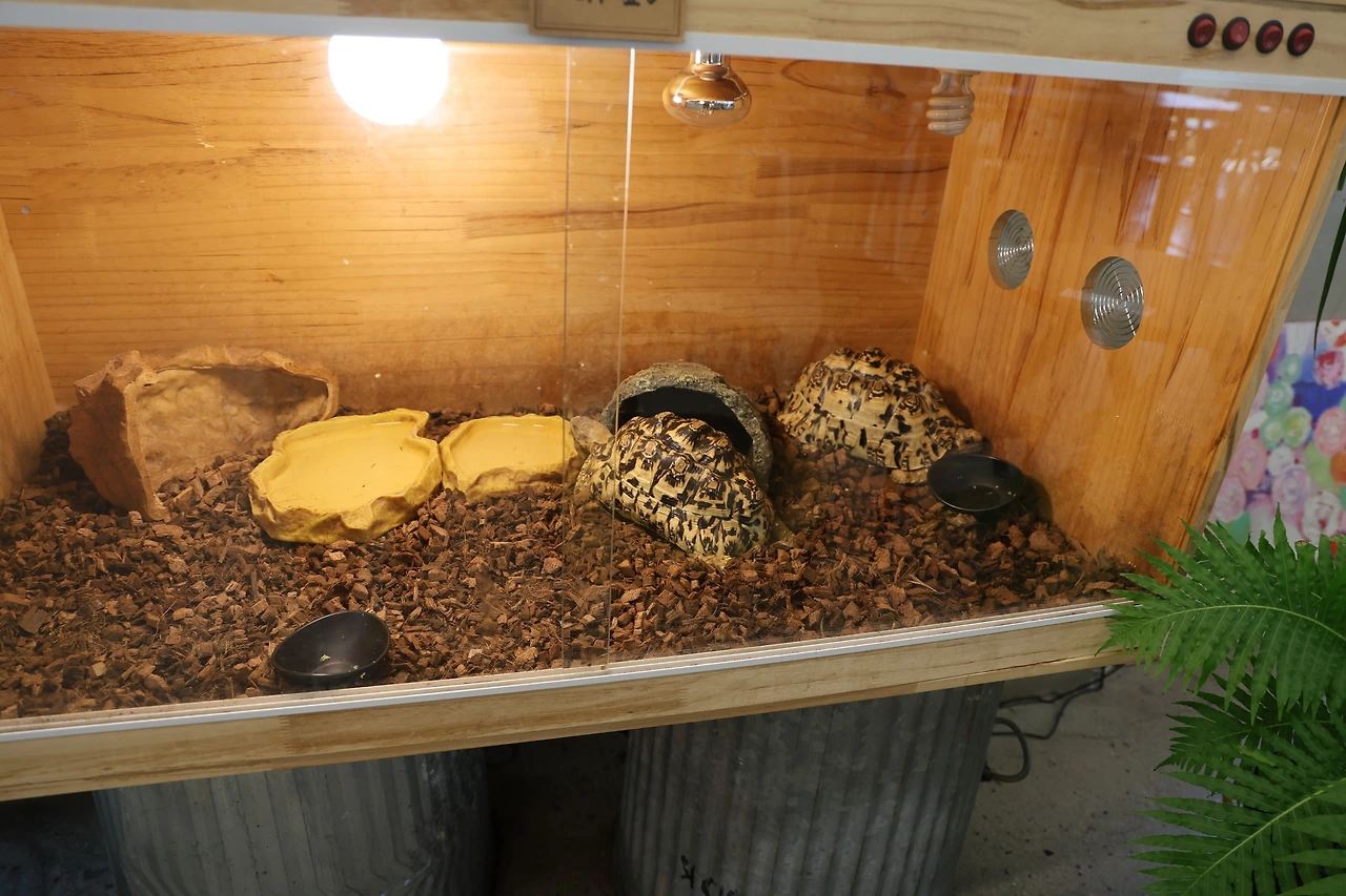 0R5A2681_новый размер.JPG