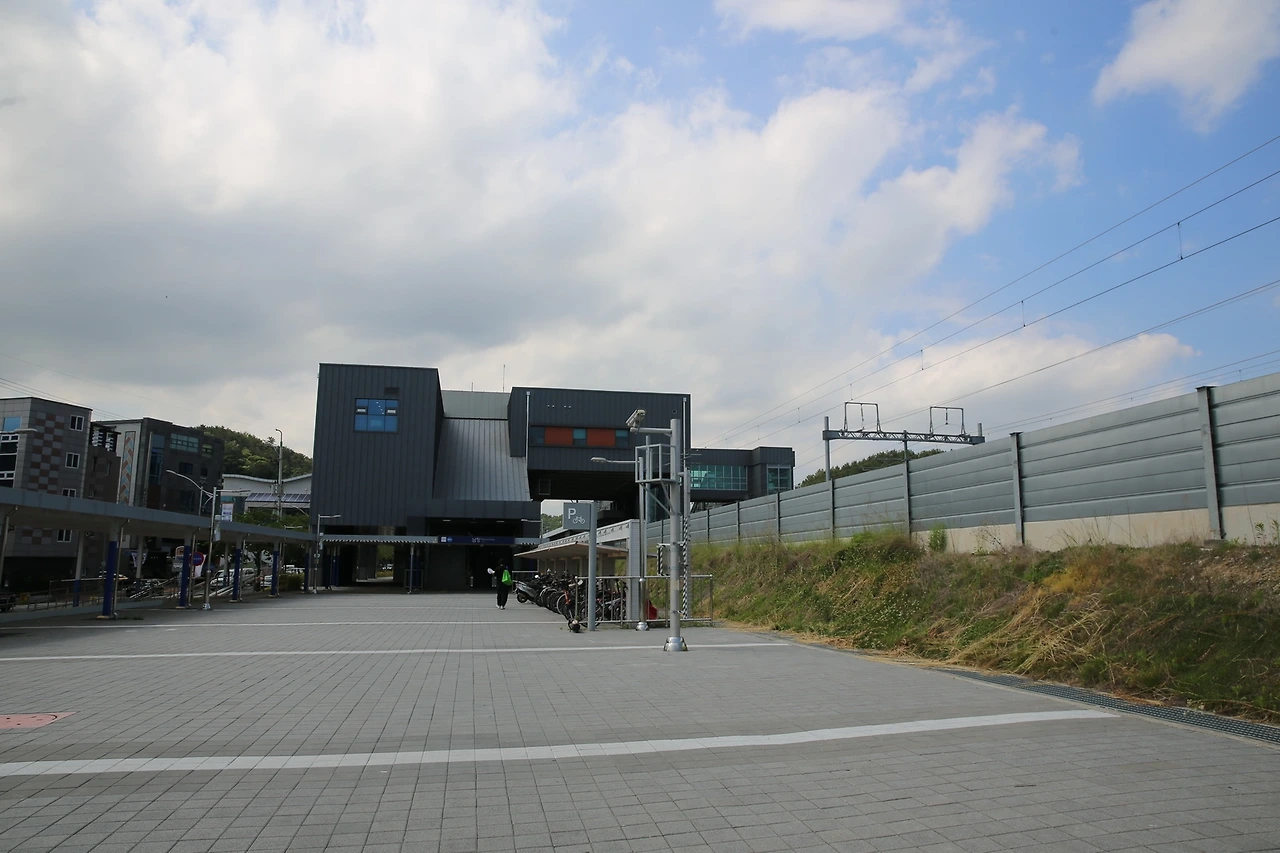 MG0A5936_новый размер.JPG