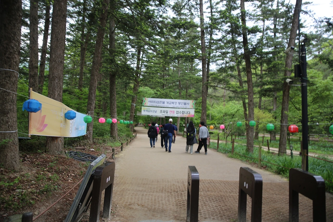 MG0A0575_новый размер.JPG