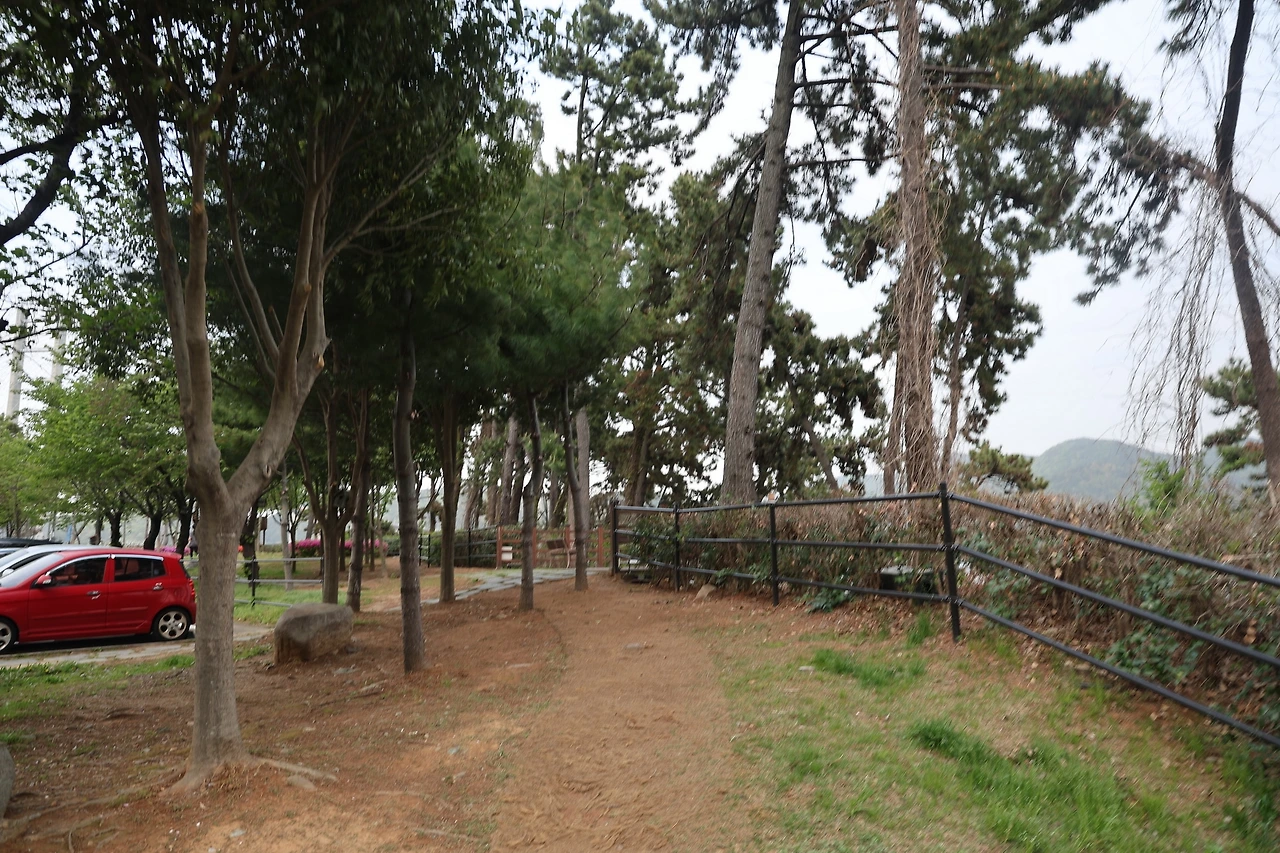 0R5A7817_новый размер.JPG