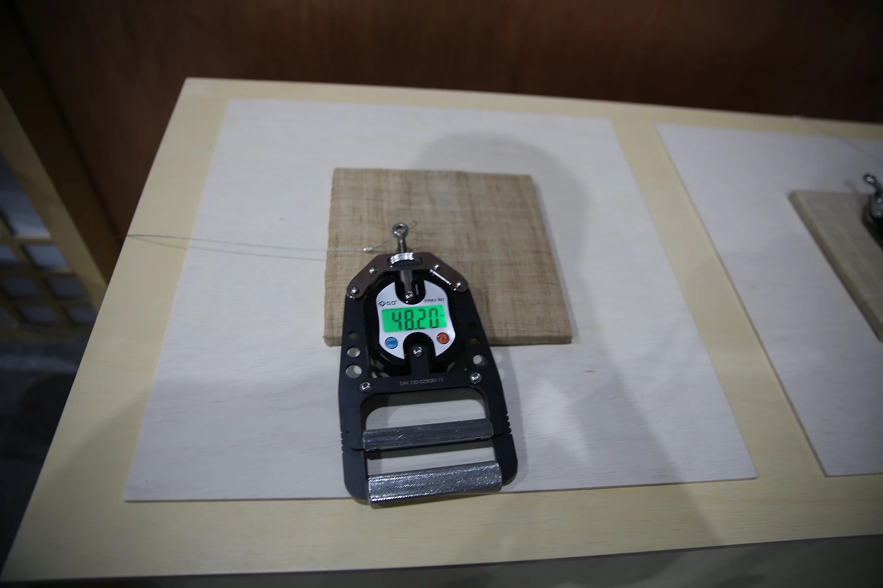 MG0A3181_новый размер.JPG