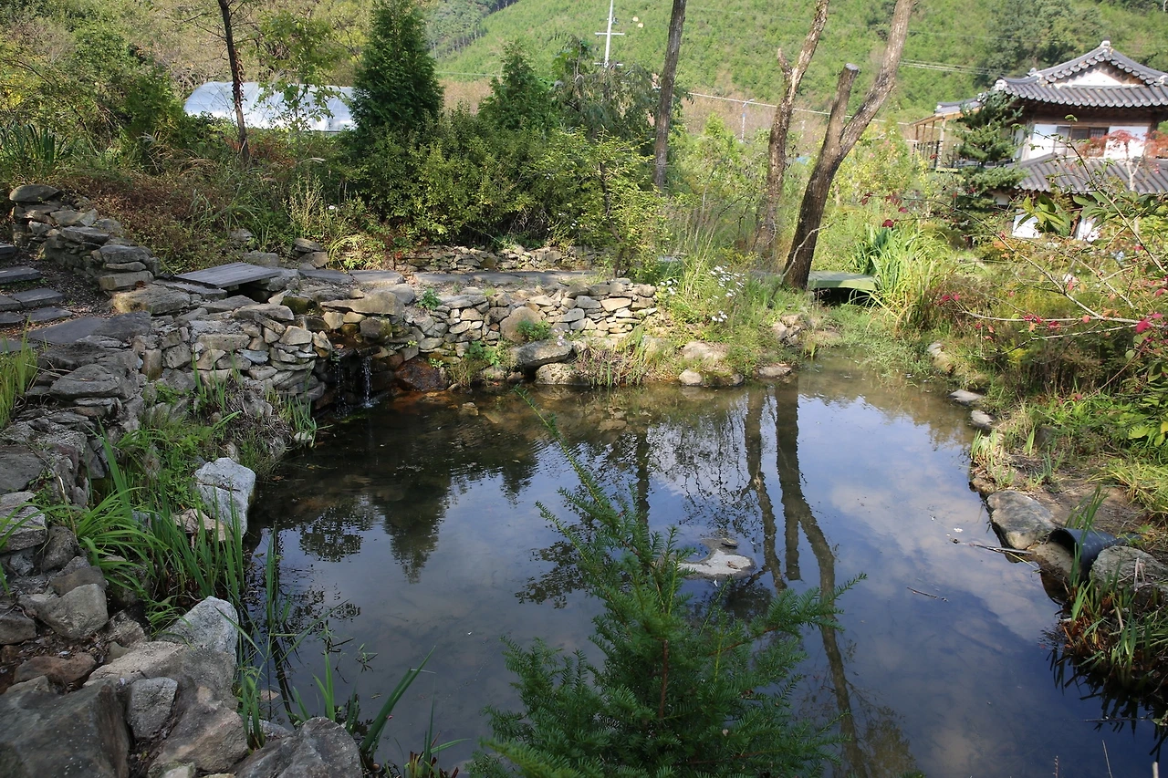 MG0A4831_новый размер.JPG