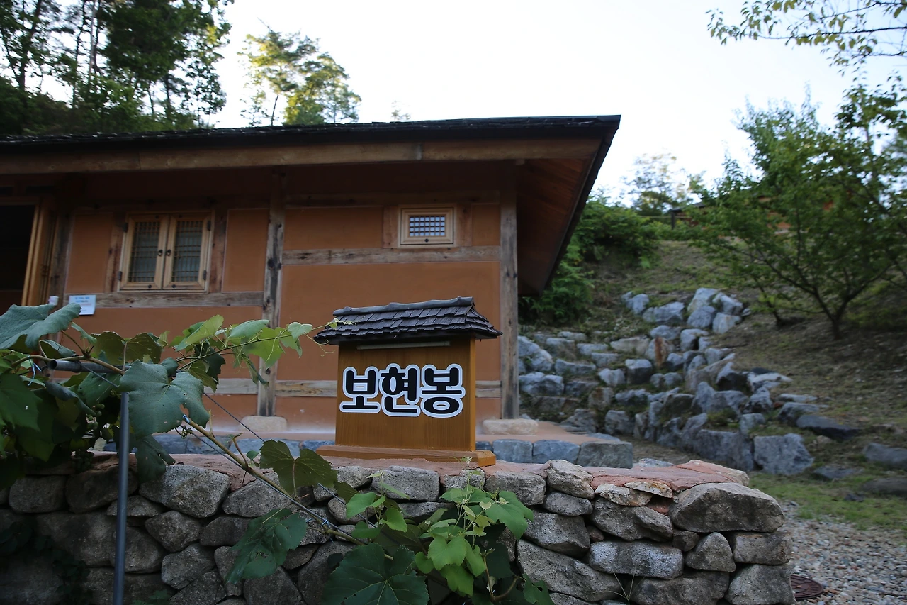 MG0A9098_новый размер.JPG