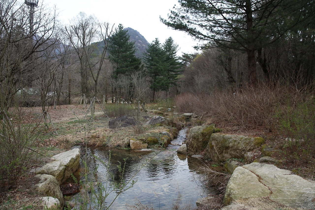 MG0A8388_новый размер.JPG