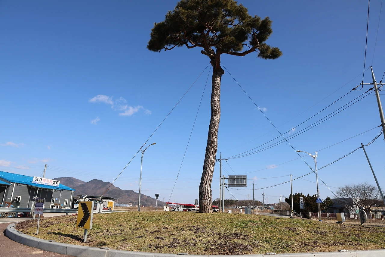 0R5A9684_новый размер.JPG