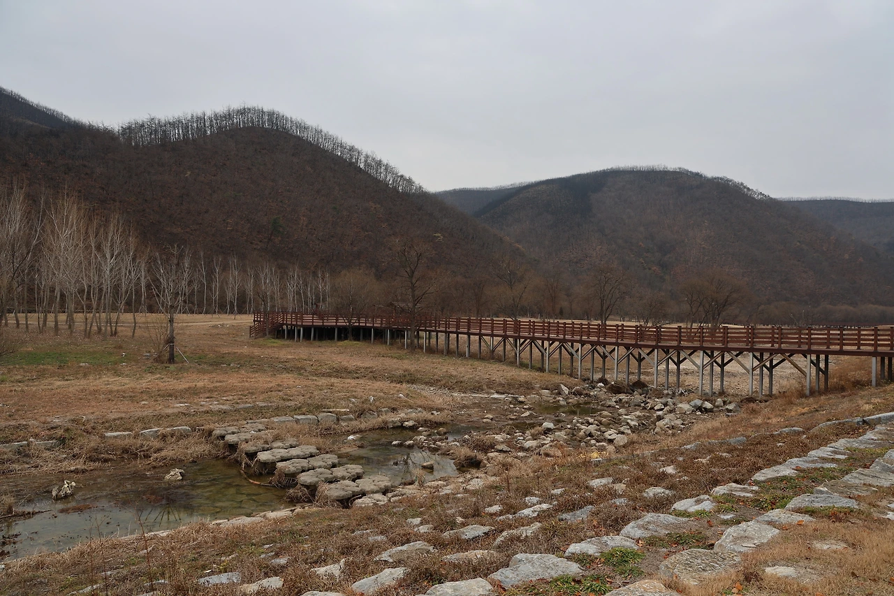 0R5A6631_новый размер.JPG