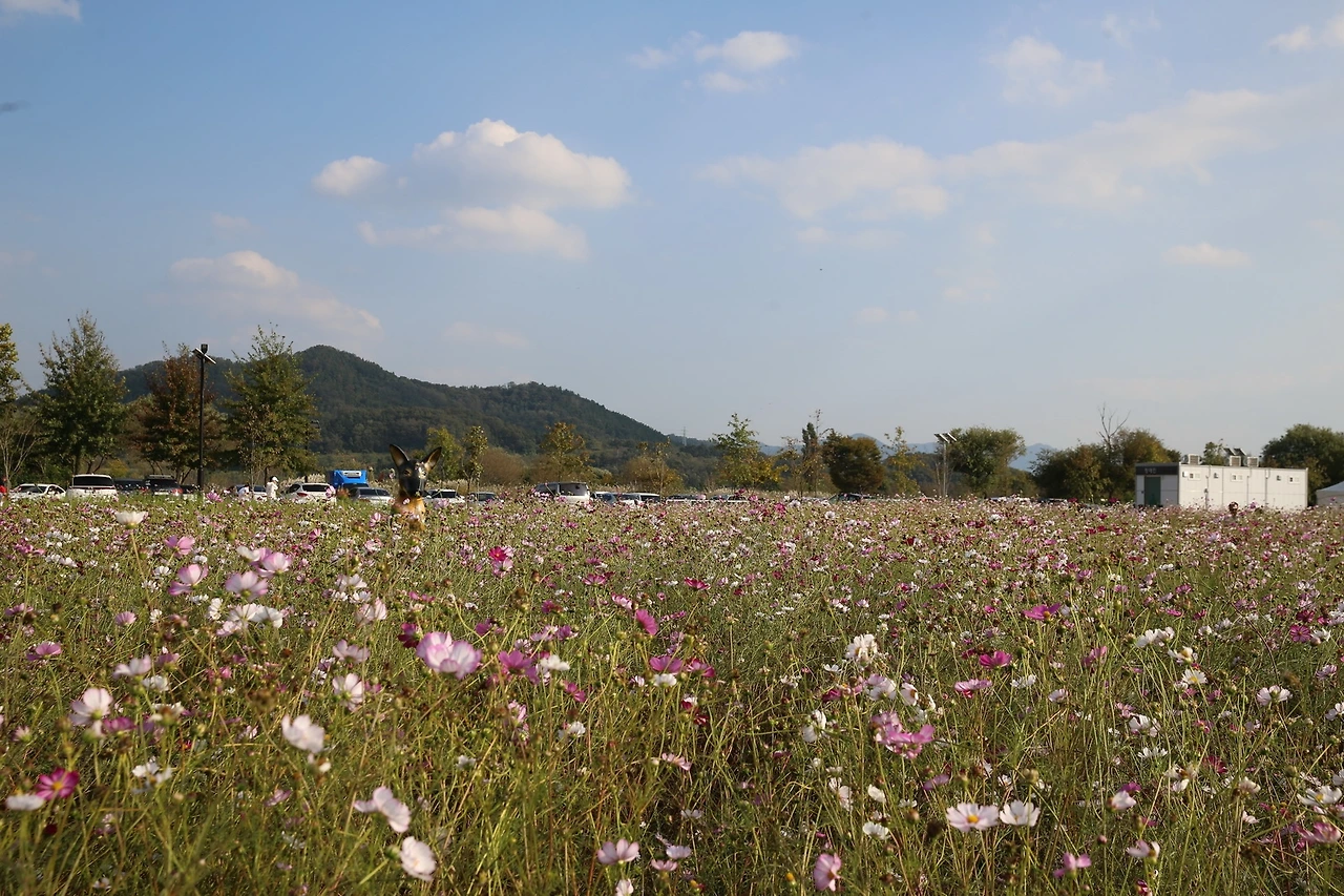 MG0A6548_новый размер.JPG