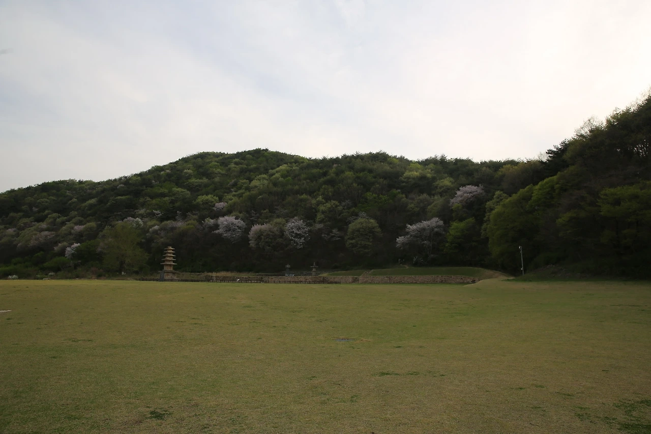 MG0A9488_новый размер.JPG