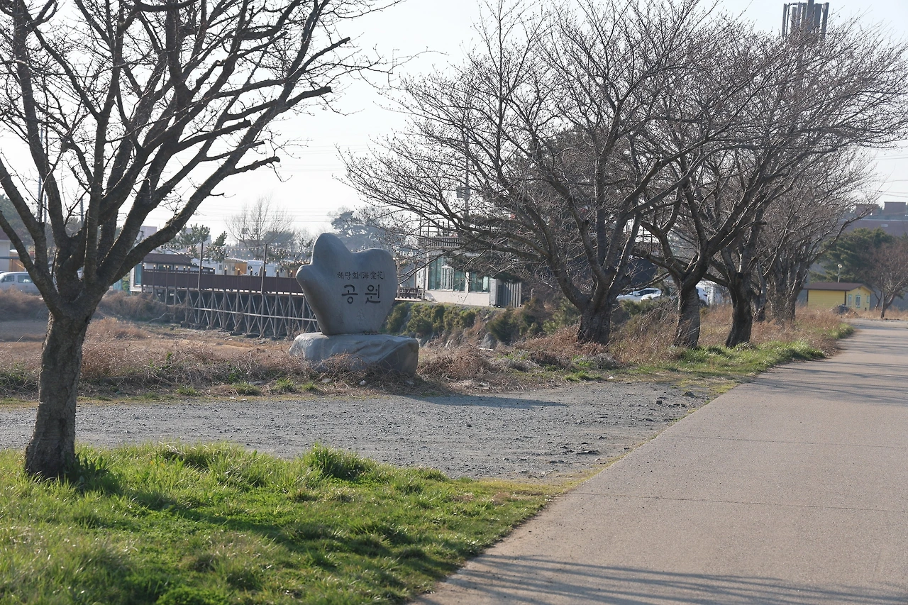 0R5A6100_новый размер.JPG