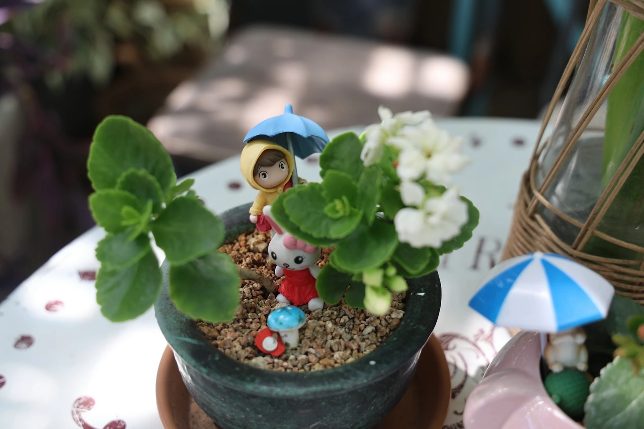 0R5A5895_новый размер.JPG