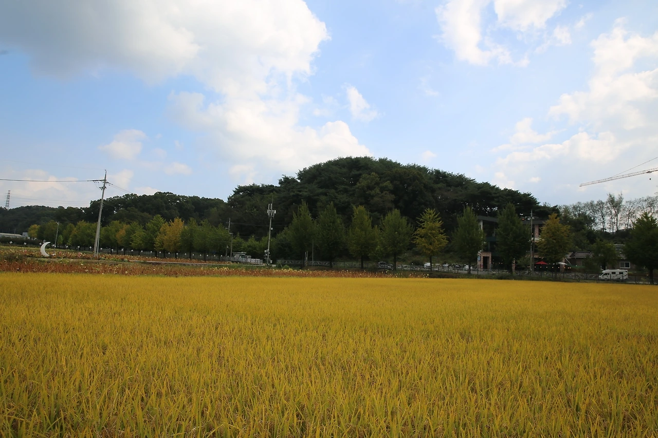 MG0A6479_новый размер.JPG