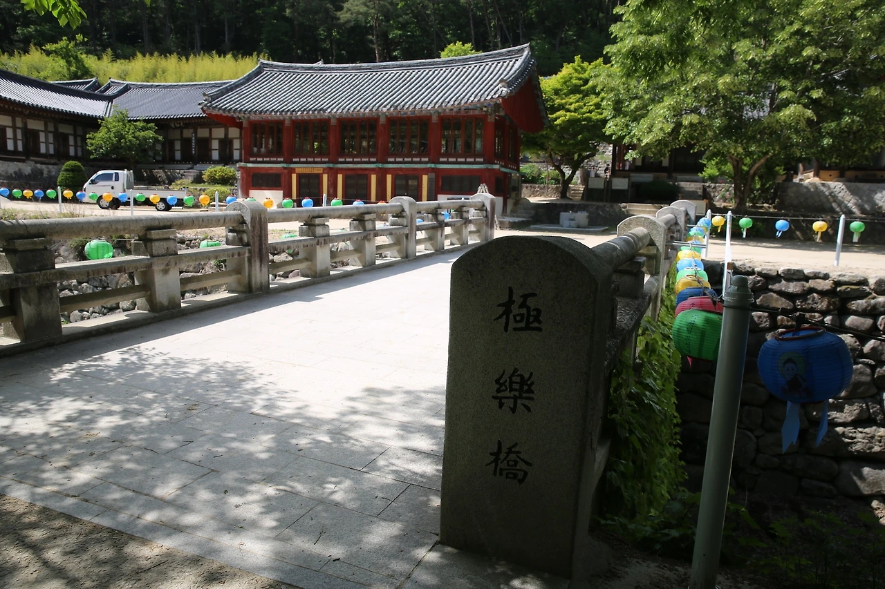 MG0A9385_новый размер.JPG