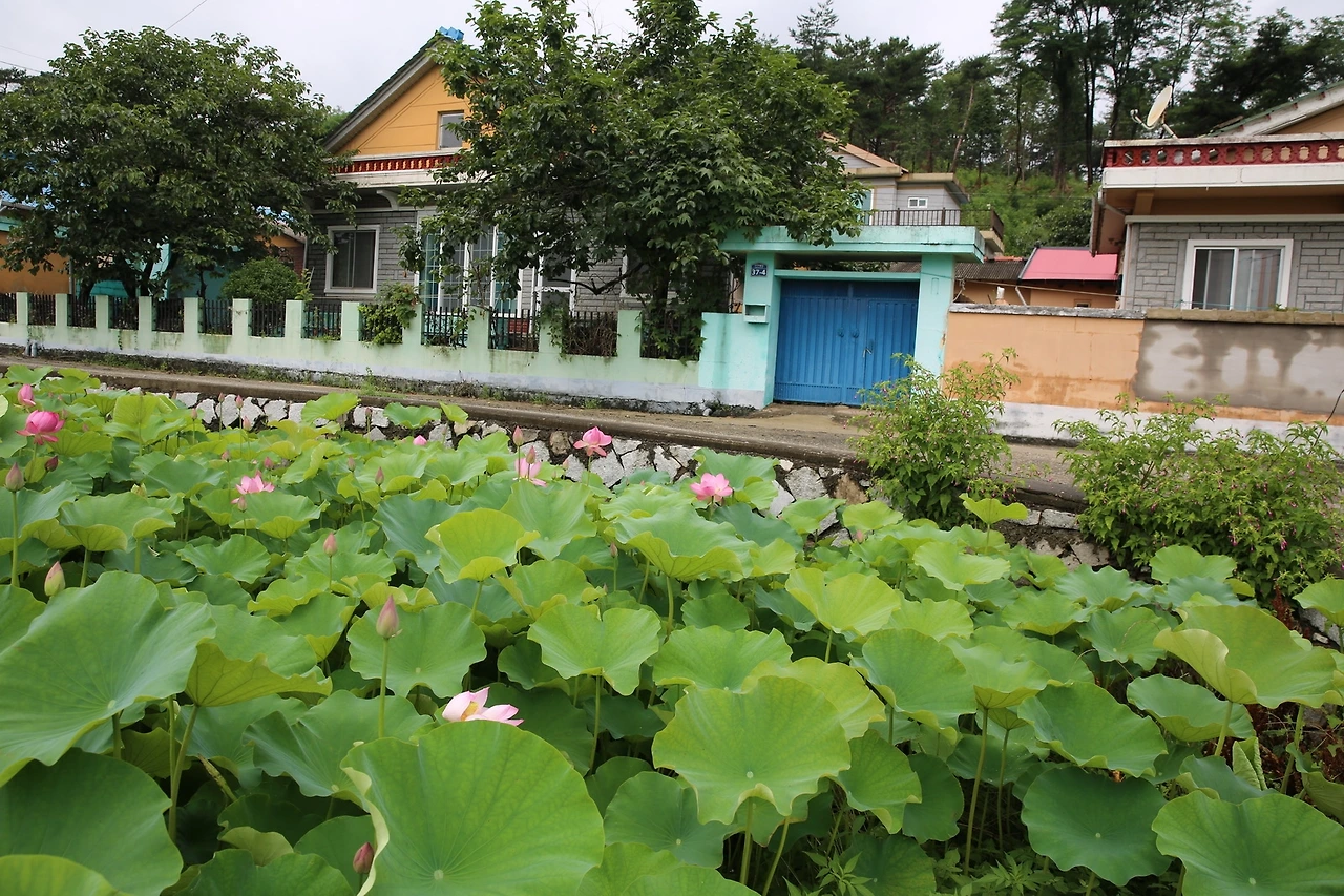 MG0A3670_новый размер.JPG