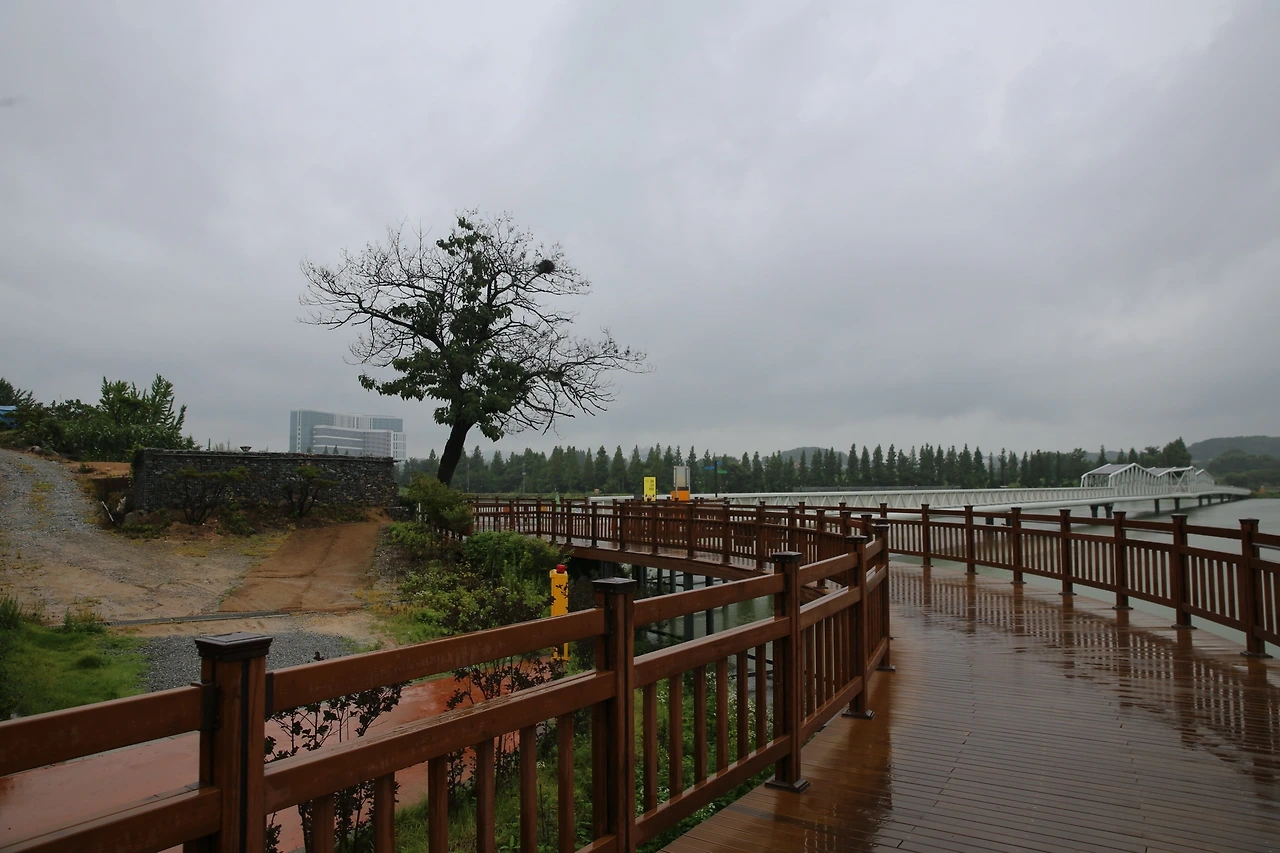 MG0A2541_новый размер.JPG