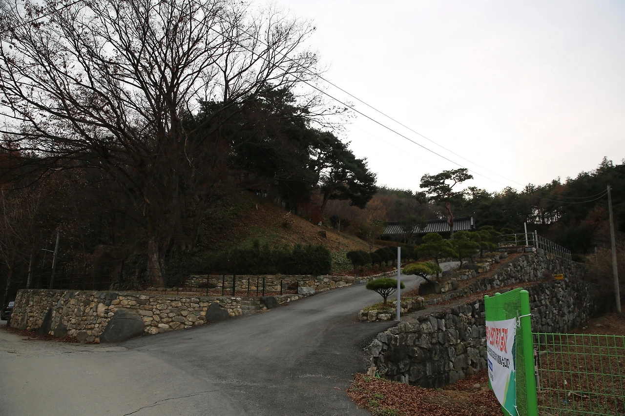 MG0A4436_новый размер.JPG