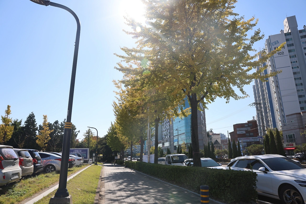 0R5A1970_новый размер.JPG