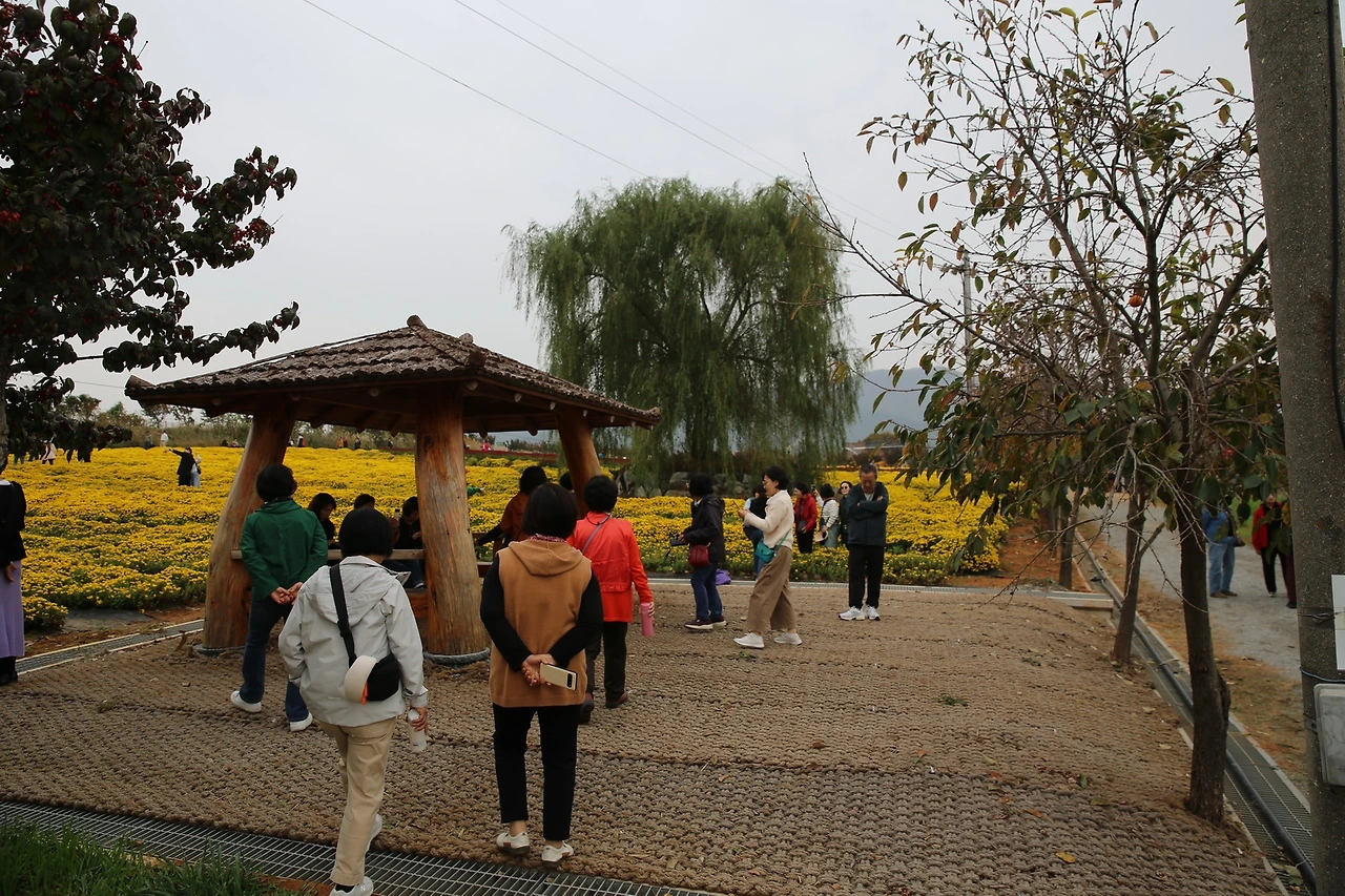 MG0A9621_новый размер.JPG