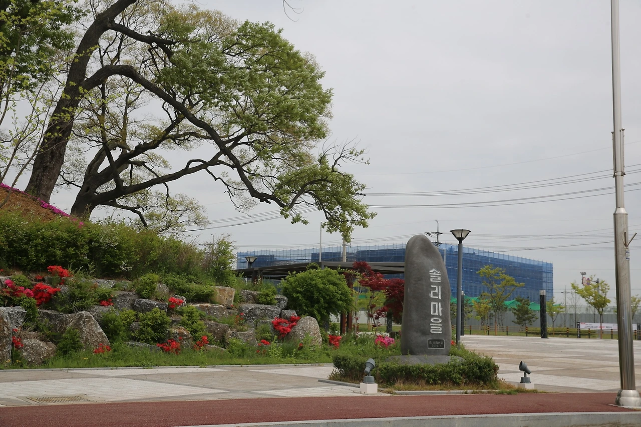 MG0A0517_новый размер.JPG