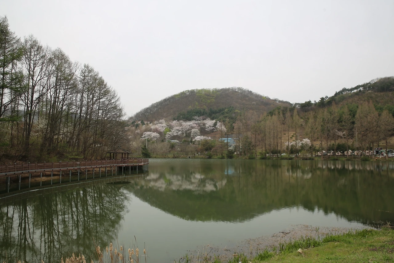 MG0A8610_новый размер.JPG