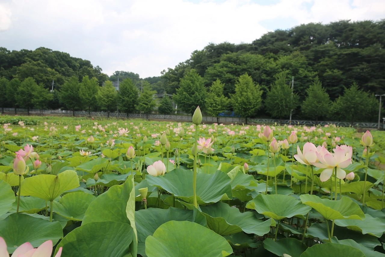 MG0A2717_новый размер.JPG