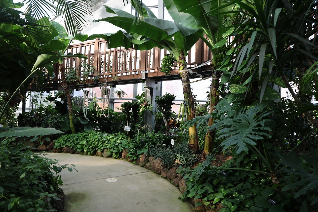 0R5A5013_новый размер.JPG