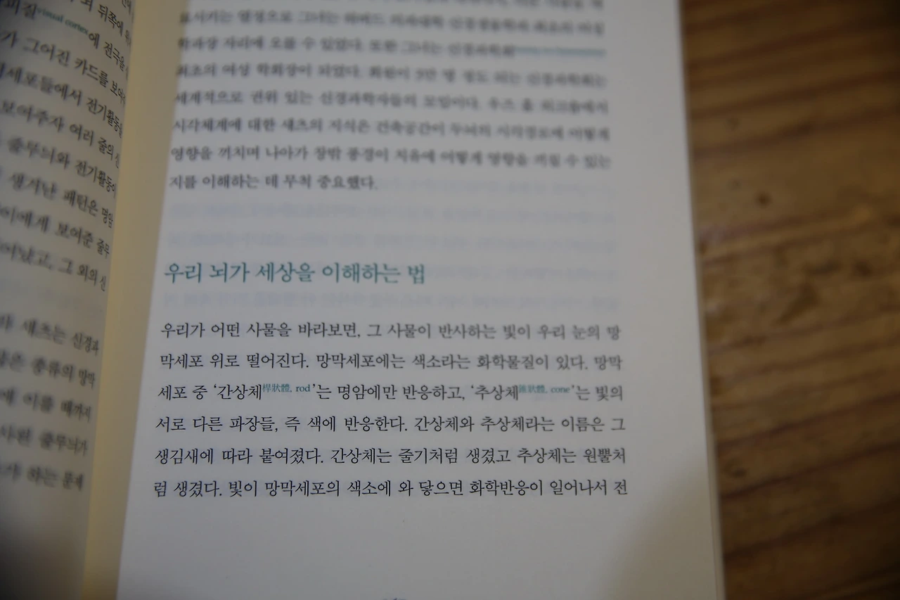 MG0A0428_новый размер.JPG