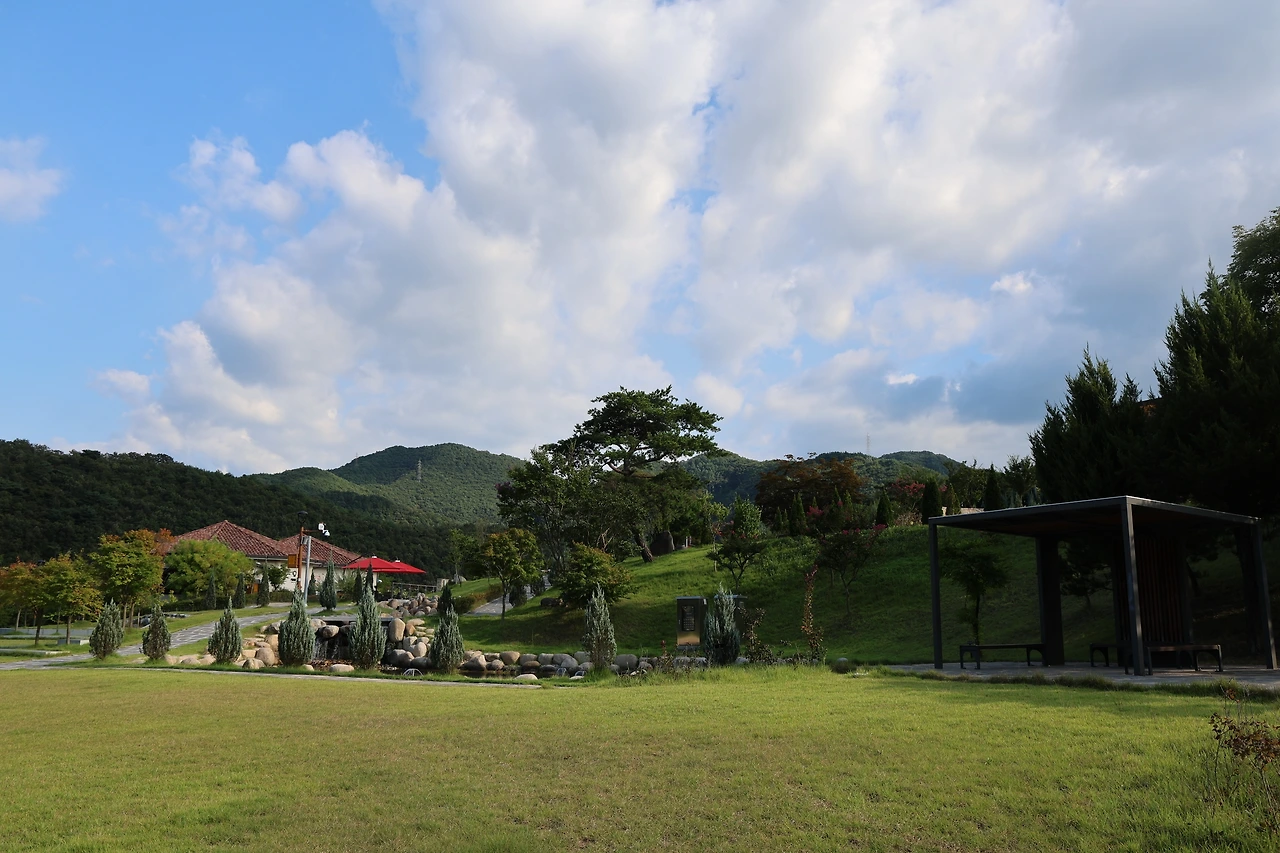 0R5A3857_новый размер.JPG