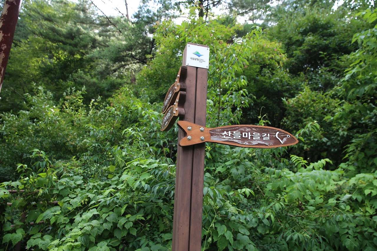 MG0A5020_новый размер.JPG