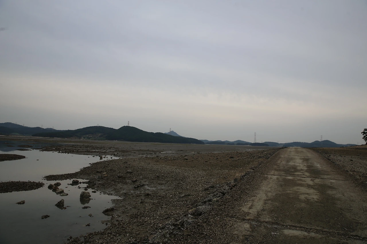 MG0A5384_новый размер.JPG