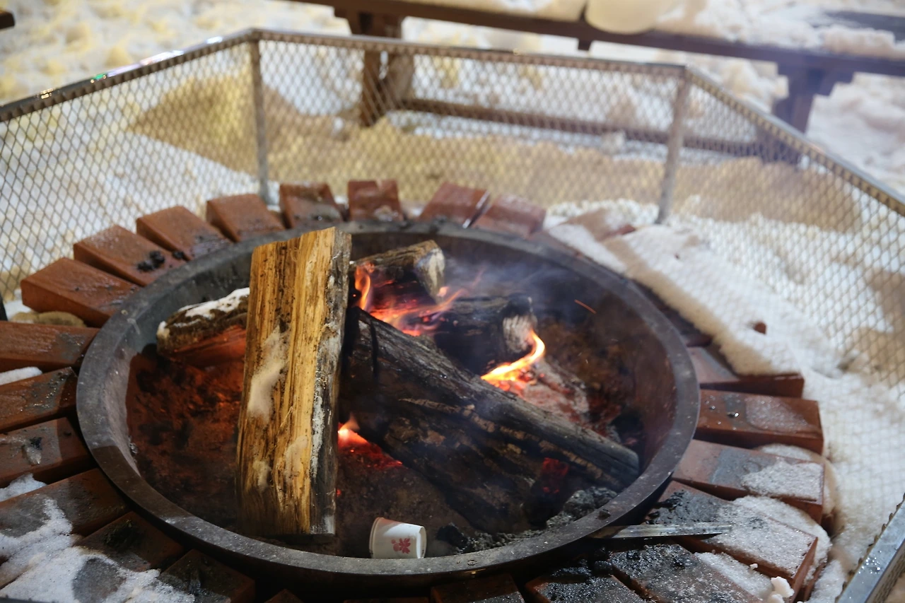 MG0A6194_новый размер.JPG